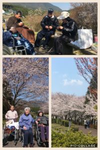 お花見（野岳湖）